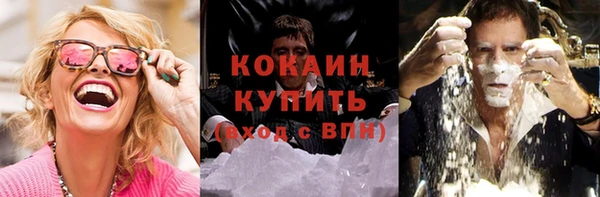 ПСИЛОЦИБИНОВЫЕ ГРИБЫ Елизово